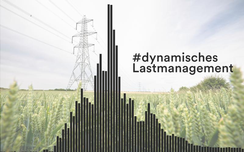 Dynamisches Lastmanagement